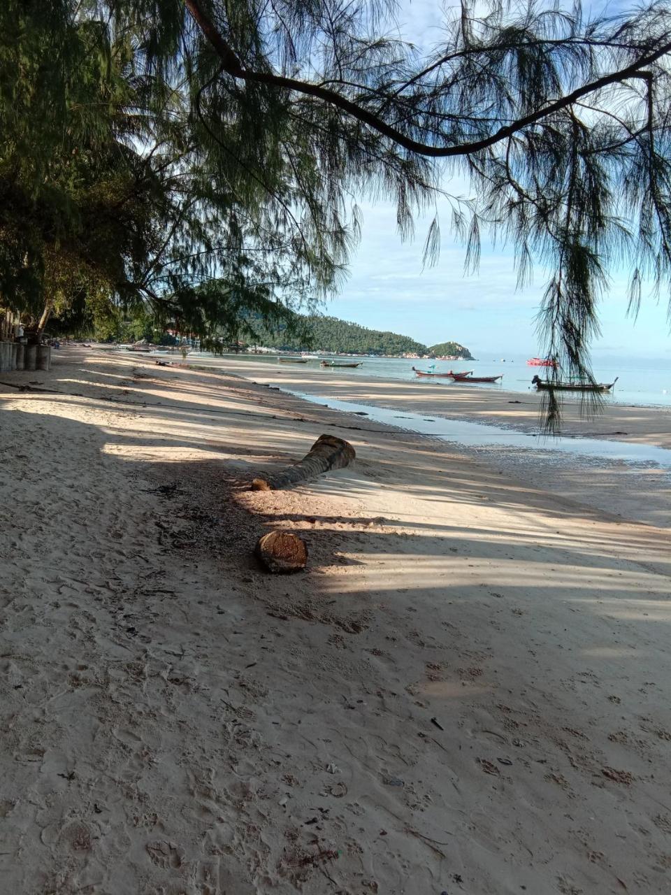 Prik Thai Resort Ko Tao Buitenkant foto